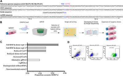 Optimizing CRISPR/Cas9 Editing of Repetitive Single Nucleotide Variants